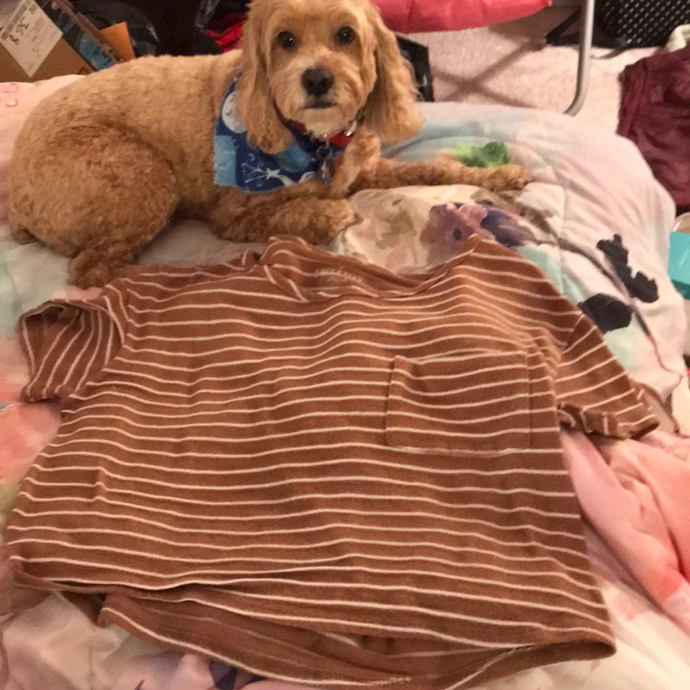 Striped T-Shirt